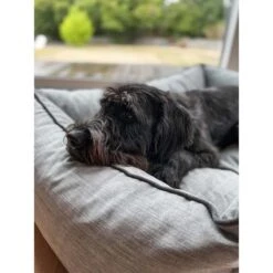 Aumüller Hundebett Sofa Ortho Line 80 Cm -Heimtierbedarf Geschäft aumueller hundebett bed sofa ortho line grau web 9