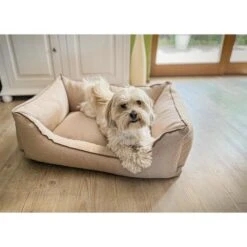 Aumüller Hundebett Sofa Basic 117 Cm -Heimtierbedarf Geschäft aumueller hundebett sofa basic beige web 4VebHcfIuf18z2