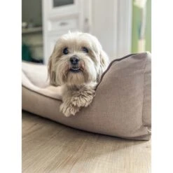 Aumüller Hundebett Sofa Basic 100 Cm -Heimtierbedarf Geschäft aumueller hundebett sofa basic beige web 5