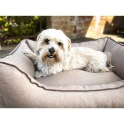 Aumüller Hundebett Sofa Basic 117 Cm -Heimtierbedarf Geschäft aumueller hundebett sofa basic beige web 8