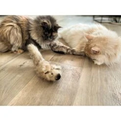 Aumüller Katzenspielkissen Zappel - Frettchen Speedy -Heimtierbedarf Geschäft aumueller katzen spielzeug zappel frettchen freddy web 1