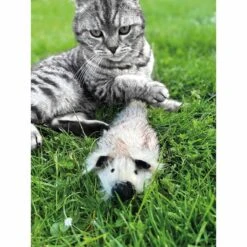 Aumüller Katzenspielkissen Zappel - Frettchen Speedy -Heimtierbedarf Geschäft aumueller katzen spielzeug zappel frettchen freddy web 10