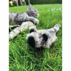 Aumüller Katzenspielkissen Zappel - Frettchen Speedy -Heimtierbedarf Geschäft aumueller katzen spielzeug zappel frettchen freddy web 14