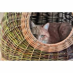 Aumüller Katzenhöhle Naturbunte Weide 60 Cm 8 Aumüller Katzenhöhle Naturbunte Weide 60 Cm -Heimtierbedarf Geschäft aumueller katzenhoehle naturbunte weide web 3vfGEwtFI7kIKv