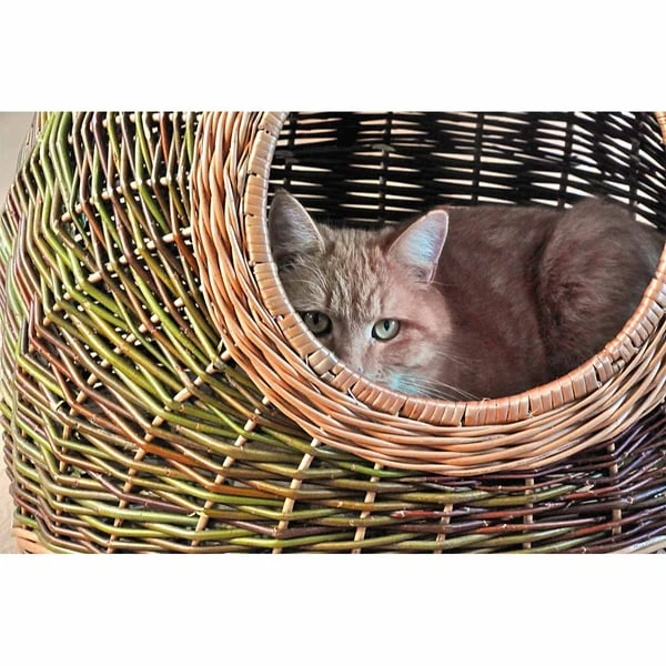 Aumüller Katzenhöhle Naturbunte Weide 60 Cm 5 Aumüller Katzenhöhle Naturbunte Weide 60 Cm – Bild 3