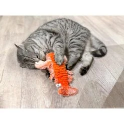 Aumüller Lucky Lobster Orange -Heimtierbedarf Geschäft aumueller lucky lobster orange web 7