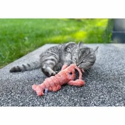 Aumüller Lucky Lobster Orange -Heimtierbedarf Geschäft aumueller lucky lobster orange web 9