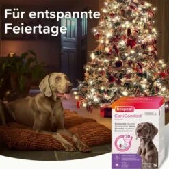 Beaphar CaniComfort® Starter-Kit Für Hunde -Heimtierbedarf Geschäft beaphar canicomfort starter kit fur hunde 6