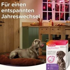 Beaphar CaniComfort® Starter-Kit Für Hunde -Heimtierbedarf Geschäft beaphar canicomfort starter kit fur hunde 7