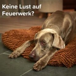 Beaphar CaniComfort® Starter-Kit Für Hunde -Heimtierbedarf Geschäft beaphar canicomfort starter kit fur hunde 9