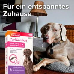 Beaphar CaniComfort® Wohlfühl Halsband -Heimtierbedarf Geschäft beaphar canicomfort wohlfuehl halsband hund 3