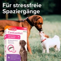 Beaphar CaniComfort® Wohlfühl Halsband -Heimtierbedarf Geschäft beaphar canicomfort wohlfuehl halsband hund 4