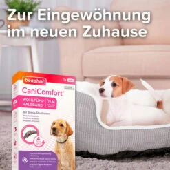 Beaphar CaniComfort® Wohlfühl Halsband Für Welpen -Heimtierbedarf Geschäft beaphar canicomfort wohlfuehl halsband welpe 3