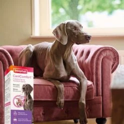 Beaphar CaniComfort® Wohlfühl-Spray Für Hunde 30ml -Heimtierbedarf Geschäft beaphar canicomfort wohlfuhl spray fur hunde 30ml 5