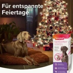 Beaphar CaniComfort® Wohlfühl-Spray Für Hunde 30ml -Heimtierbedarf Geschäft beaphar canicomfort wohlfuhl spray fur hunde 30ml 7