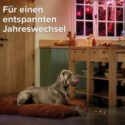 Beaphar CaniComfort® Wohlfühl-Spray Für Hunde 30ml -Heimtierbedarf Geschäft beaphar canicomfort wohlfuhl spray fur hunde 30ml 8