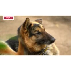 Beaphar Protecto Insekten Vernebler 200ml -Heimtierbedarf Geschäft beaphar protecto insekten vernebler 2