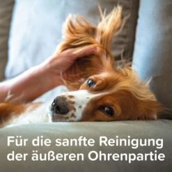 Beaphar Sensitiv Ohrenreiniger 50ml + Fingerling GRATIS -Heimtierbedarf Geschäft beaphar sensitiv ohrenreiniger 50ml plus fingerling gratis 5