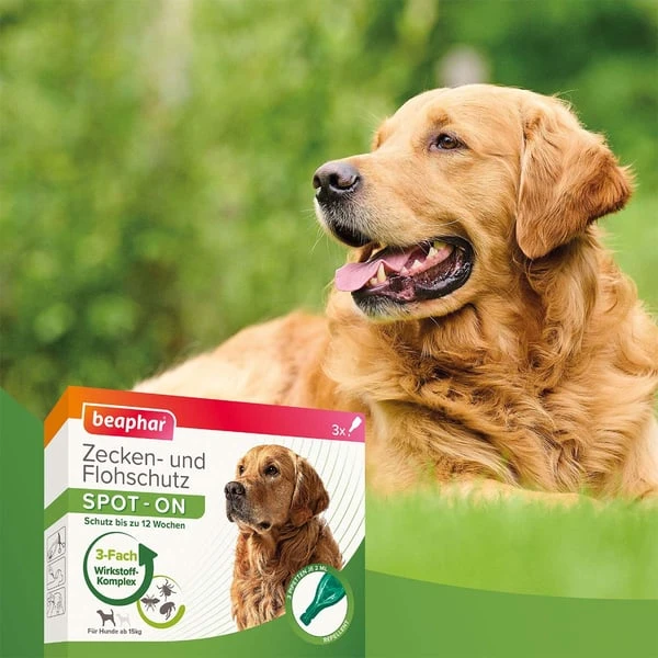 Beaphar Spot On Tropfen Für Große Hunde 3er-Pack 7 Beaphar Spot On Tropfen Für Große Hunde 3er-Pack – Bild 5