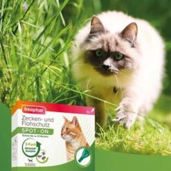 Beaphar Zecken- & Flohschutz SPOT-ON Für Katzen + Zeckenstift Gratis -Heimtierbedarf Geschäft beaphar zecken und flohschutz spot on fur katzen 58OMA4Yjwoanjx