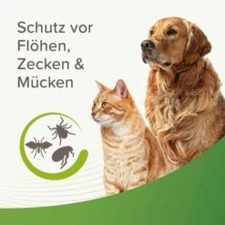 Beaphar Zecken- Und Flohschutz Spray 400ml -Heimtierbedarf Geschäft beaphar zecken und flohschutz spray 400ml 5