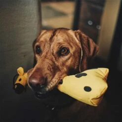 Beco Pets Kuschelspielzeug Giraffe -Heimtierbedarf Geschäft beco pets kuschelspielzeug giraffe 3