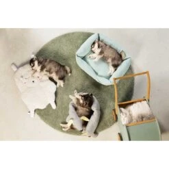 Beeztees Puppy Kuschelspielzeug -Heimtierbedarf Geschäft beeztees puppy kuschelspielzeug doggy grau 1