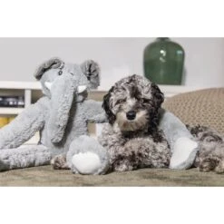 Beeztees XL Hundespielzeug Plüsch Elefant James Grau 7 Beeztees XL Hundespielzeug Plüsch Elefant James Grau -Heimtierbedarf Geschäft beeztees xl hundespielzeug plusch elefant james grau 3