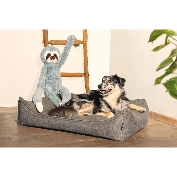 Beeztees XL Hundespielzeug Plüsch Faultier Mees Grau 4 Beeztees XL Hundespielzeug Plüsch Faultier Mees Grau – Bild 2