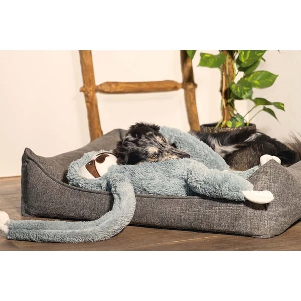 Beeztees XL Hundespielzeug Plüsch Faultier Mees Grau 5 Beeztees XL Hundespielzeug Plüsch Faultier Mees Grau – Bild 3