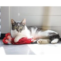 Beeztees Bewegender Hummer -Heimtierbedarf Geschäft beeztees bewegender hummer 5