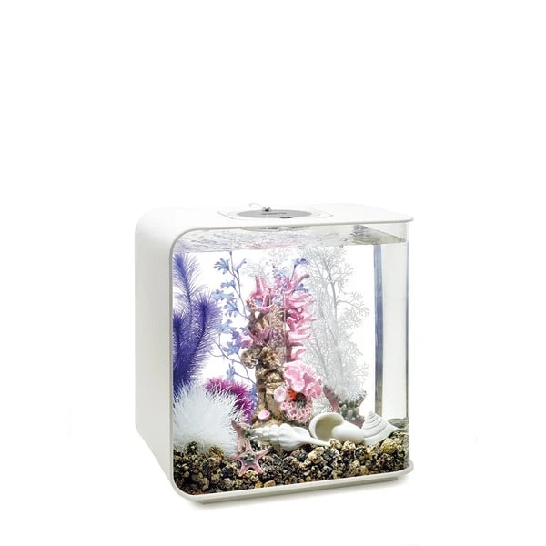 BiOrb Decor Set 30L 6 BiOrb Decor Set 30L – Bild 4