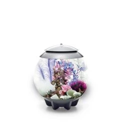 BiOrb Decor Set 30L 11 BiOrb Decor Set 30L -Heimtierbedarf Geschäft biorb deco pinkocean 30 5