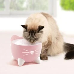 Catit Pixi Trinkbrunnen Pink -Heimtierbedarf Geschäft catit pixi trinkbrunnen pink 4