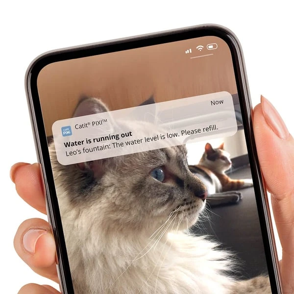 Catit Pixi Smart Trinkbrunnen 6 Catit Pixi Smart Trinkbrunnen – Bild 4