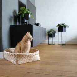 D&D Home Kuschelbett Bodhi Dunkelgrau 52x52x15cm 7 D&D Home Kuschelbett Bodhi Dunkelgrau 52x52x15cm -Heimtierbedarf Geschäft d d home kuschelbett bodhi dunkelgrau 52x52x15cm web 3