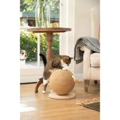 Designed By Lotte Kratzball Balty -Heimtierbedarf Geschäft designed by lotte kratzball balty 3