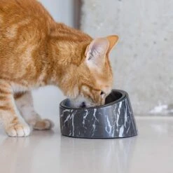 Designed By Lotte Melamin Katzennapf Vita 10 Designed By Lotte Melamin Katzennapf Vita -Heimtierbedarf Geschäft designedbylotte katzennapf vita schwarz 4