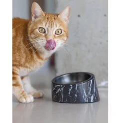 Designed By Lotte Melamin Katzennapf Vita 11 Designed By Lotte Melamin Katzennapf Vita -Heimtierbedarf Geschäft designedbylotte katzennapf vita schwarz 5