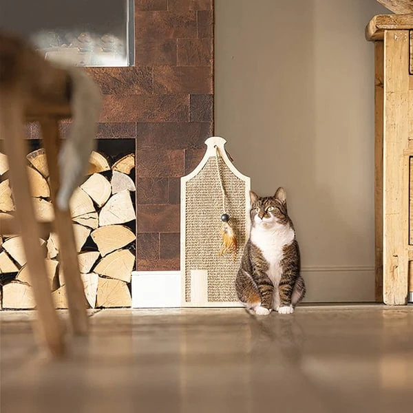 Designed By Lotte Holz Kratzbrett Vicky 50x20x3cm 7 Designed By Lotte Holz Kratzbrett Vicky 50x20x3cm – Bild 5