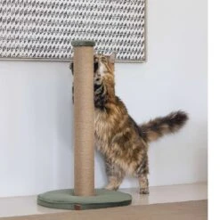 Designed By Lotte Kratzsäule Yenna Grün 41x41x70cm -Heimtierbedarf Geschäft designedbylotte kratzstamm yenna 5