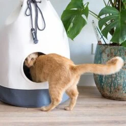 District 70 Katzenhöhle Casa 11 District 70 Katzenhöhle Casa -Heimtierbedarf Geschäft district 70 katzenhohle casa weiss grau 5