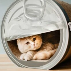 District 70 Kratzhaus Can -Heimtierbedarf Geschäft district 70 kratzhaus can 3