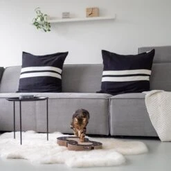 District 70 Kratzpappe Snake -Heimtierbedarf Geschäft district 70 kratzpappe snake schwarz 2