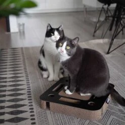 District 70 Kratzpappe Spy 5 District 70 Kratzpappe Spy -Heimtierbedarf Geschäft district 70 kratzpappe spy