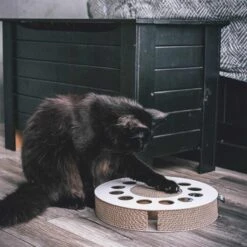 District 70 Kratzpappe WHIRL 7 District 70 Kratzpappe WHIRL -Heimtierbedarf Geschäft district 70 kratzpappe wellpappe whirl 2