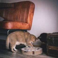 District 70 Kratzpappe WHIRL 8 District 70 Kratzpappe WHIRL -Heimtierbedarf Geschäft district 70 kratzpappe wellpappe whirl 3