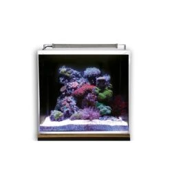 Dupla Marin Meerwasseraquarium Ocean Cube 50 Set 12 Dupla Marin Meerwasseraquarium Ocean Cube 50 Set -Heimtierbedarf Geschäft dupla marin meerwasseraquarium ocean cube 50 set 5tE4lemMMniTDO