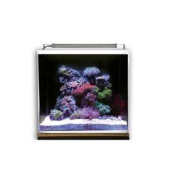 Dupla Marin Meerwasseraquarium Ocean Cube 80 Set -Heimtierbedarf Geschäft dupla marin meerwasseraquarium ocean cube 80 set 5h88zaTmmLxNHR