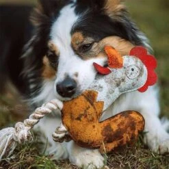 DUVO+ Farm Friends Ruby Rooster 37cm -Heimtierbedarf Geschäft duvoplus farm friends ruby rooster 37cm web 4